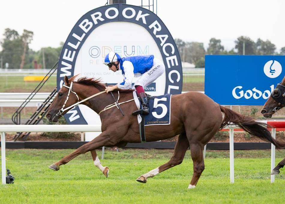 FRESH BEGINNINGS: Muswellbrook Race Club is set to stage the debut $50,000 Gold bonus race. Photo: Karina Partridge Photography