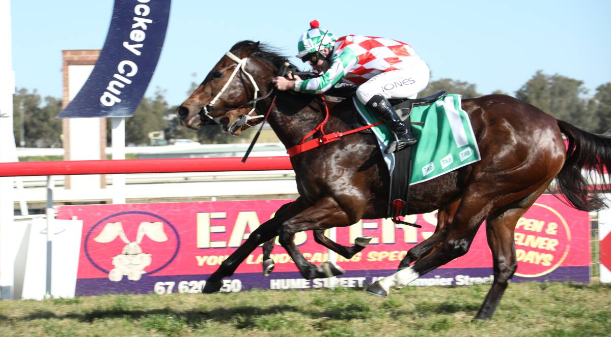 BARNSTORMING: Reece Jones steers Cassy's Sister to victory at Tamworth on Friday. Photo: Bradley Photographers