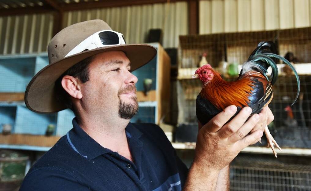 PASSIONATE: Tamworth trainer Danny Mackney loves horses and his award-winning chooks. Photo: Supplied