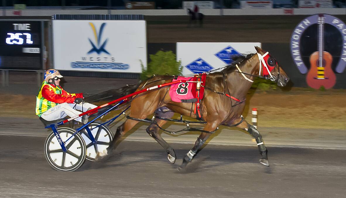 The perfect run: Gottashopearly goes to the line to win the Tamworth City Cup. Photo: PeterMac Photography