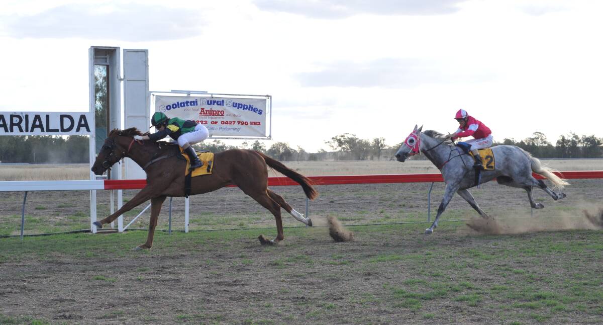 BUSH BOLTER: Grace Willoughby pilots Oh Why to victory in the Warialda Cup, with Clipaholic (Geoffrey Snowden) second. Photo: Bradley Photographers 