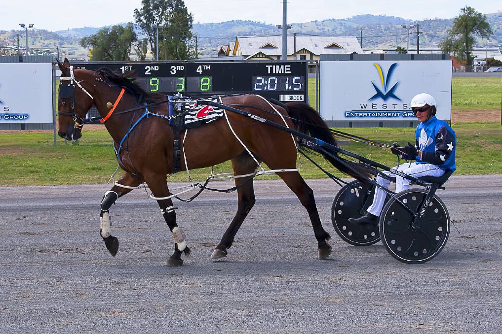  DYNAMIC DUO: Thebigbadwolf after his Tamworth win on Thursday. Photo: PeterMac Photography