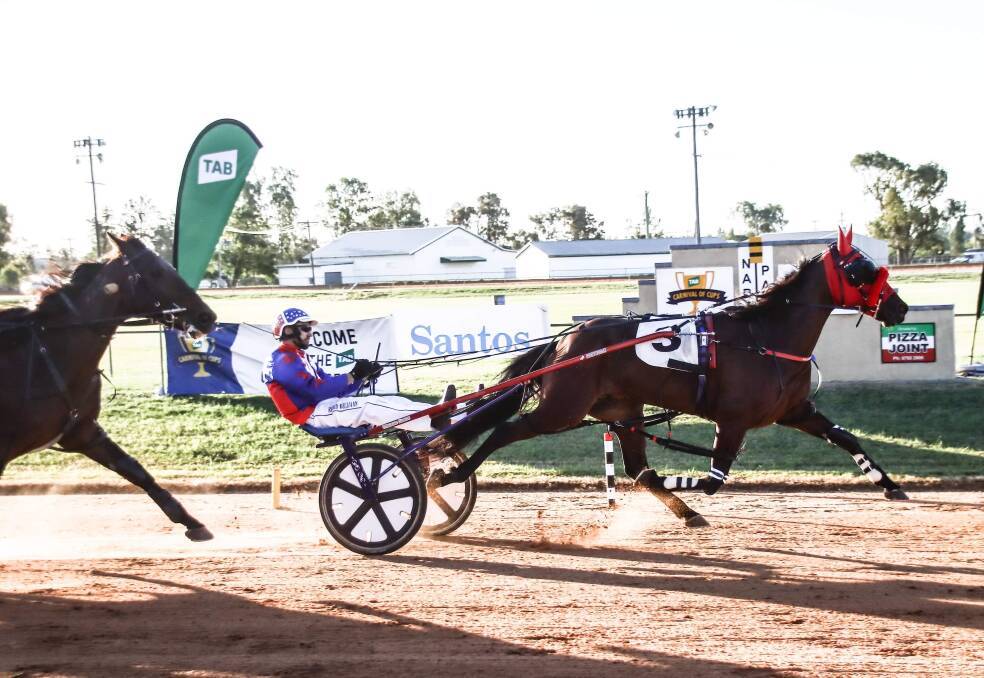 CLASS ACT: Everything Happens wins at Narrabri on Sunday. Photo: Coffee Photography