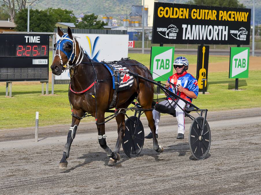 DYNANIC DUO: Tom Ison and Amused return to scale after a win at Tamworth Paceway last week. Photo: PeterMac Photography