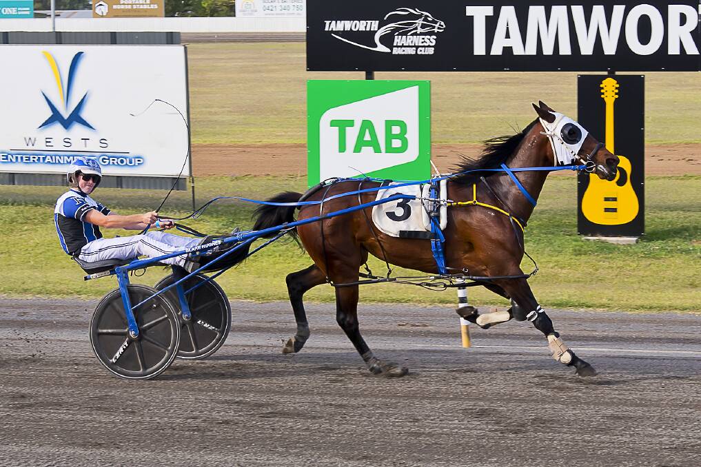 FEELING GOOD: I'm So Better takes out the Club Menangle Country Series Heat at Tamworth, with a very please Blake Hughes in the gig. Photo: PeterMac Photography