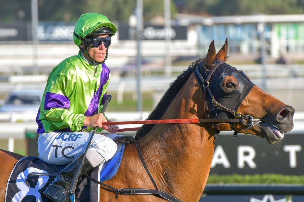 SHOCK: Suncraze has finished outside the placings for the first time. Picture: AAP