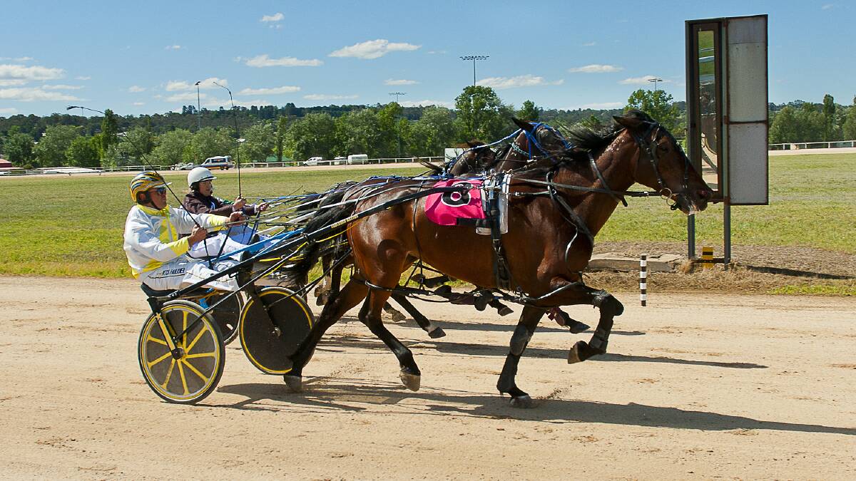 ON SONG: Mitch Faulkner pilots Hedges Avenue to victory at Armidale on Thursday. Photo: PeterMac Photography