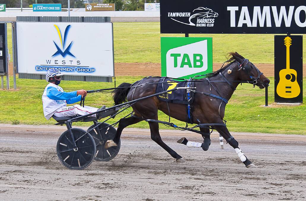 FORM FACTOR: Tom Ison pilots Zoemagic to victory at Tamworth last week. Photo: PeterMac Photography