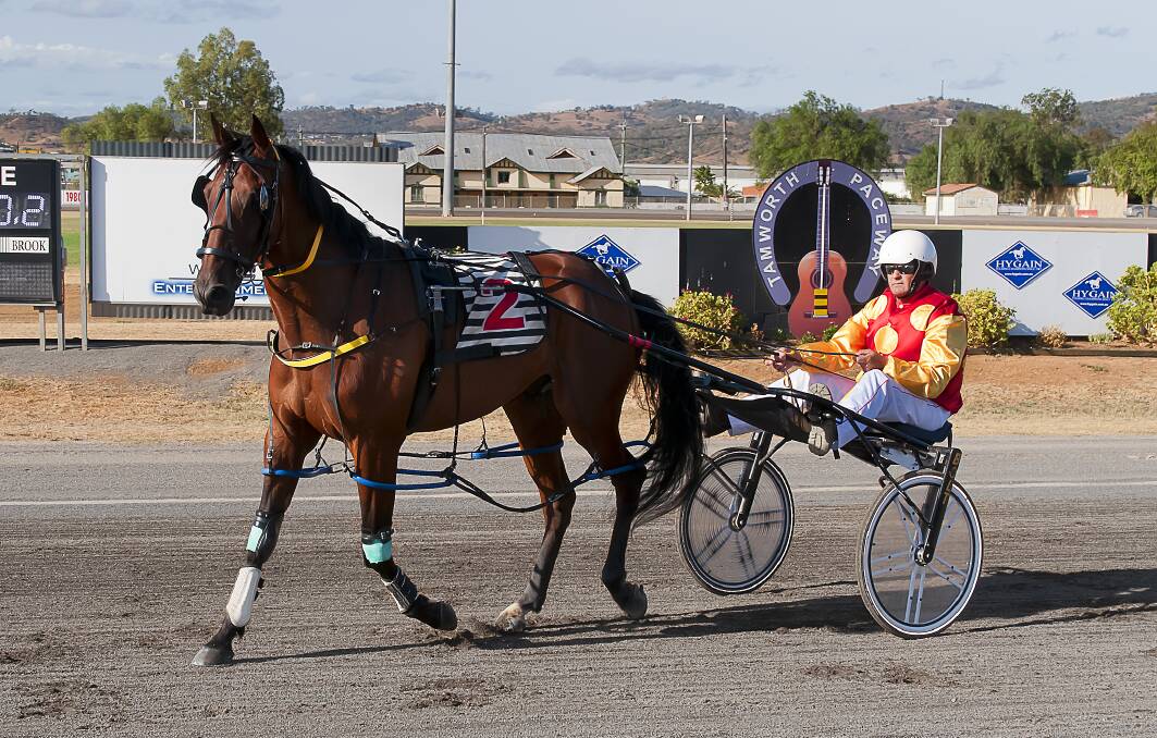 DREAM TEAM: Rolamax, with Neil Kliendienst in the gig, after winning at Tamworth in April. Photo: PeterMac Photography