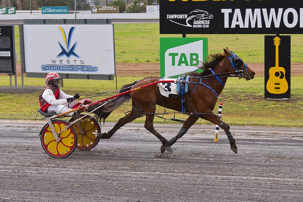 AWESOME FOURSOME: Dean Chapple steers Peggy Stardust to victory - the first of four-straight wins. Photo: PeterMac Photography