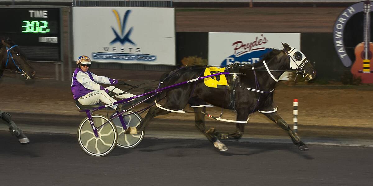 IN FORM: Give Me Fifty, with Brad Elder in the gig, scorches the field at Tamworth last week. Elder will be in action again at the Paceway on Thursday. Photo: PeterMac Photography 