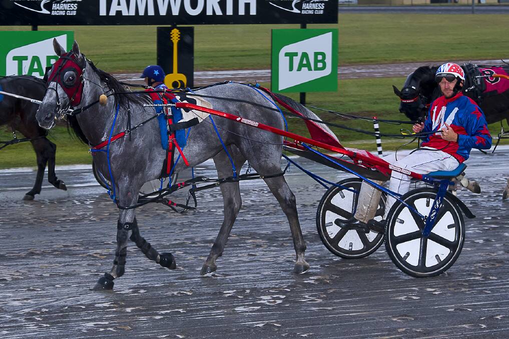 WINNERS: Jaspers Ayr (Richard Williams) has won at Redcliffe in Queensland. Photo: PeterMac Photography