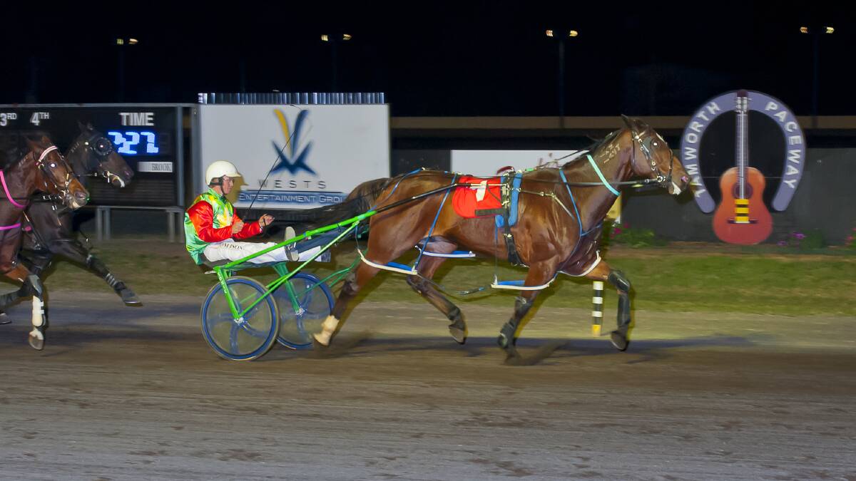 TOO GOOD: Franco Seville captured win No.15 at the Billy Grima Memorial at Tamworth Paceway on Thursday night.