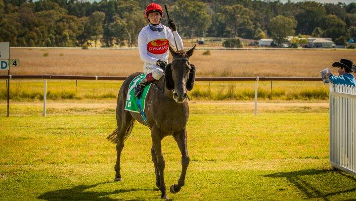 ON FIRE: Clayton Gallagher is pictured here on the William Freedman-trained Frankly Savvy after winning at Coonabarabran last month. The Moree-born, Narromine-based hoop has been in sensational form ever since, riding 14 winners from his last 48 rides. Photo: Racing Photography