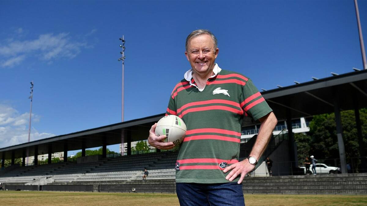 BUNNY BLOCKER: Anthony Albanese has been described as a Rabbitohs "true believer". But to me, he's a true prick. Photo: NRL