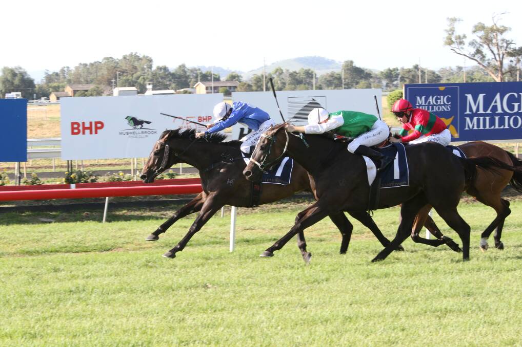 CLASS ACTS: Grant Buckley steers Two Big Fari (inside) to victory over Bobbing (Rory Hutchings) in the Country Championships Wild Card at Muswellbrook on Sunday. Photo: Bradley Photos