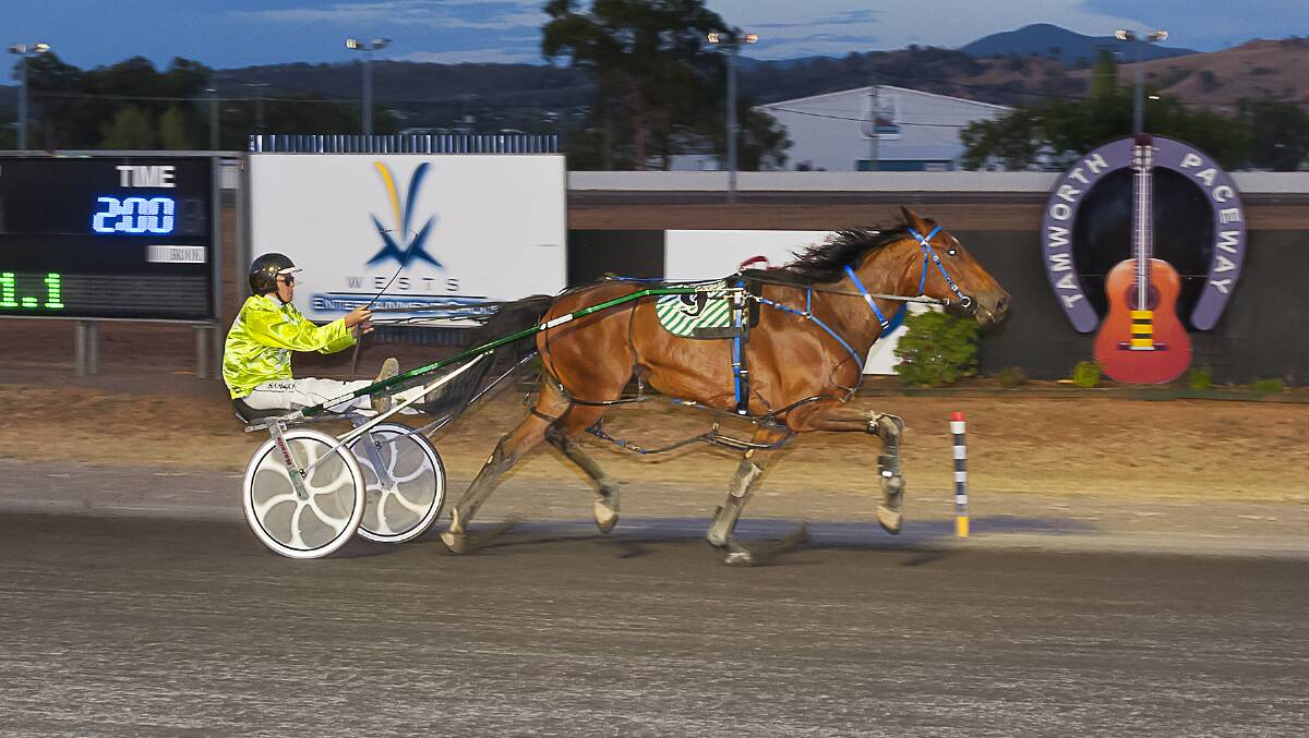 THE COUNT: Bassey storms to victory at Tamworth recently with Sam Ison in the gig. Photo  PeterMac Photography