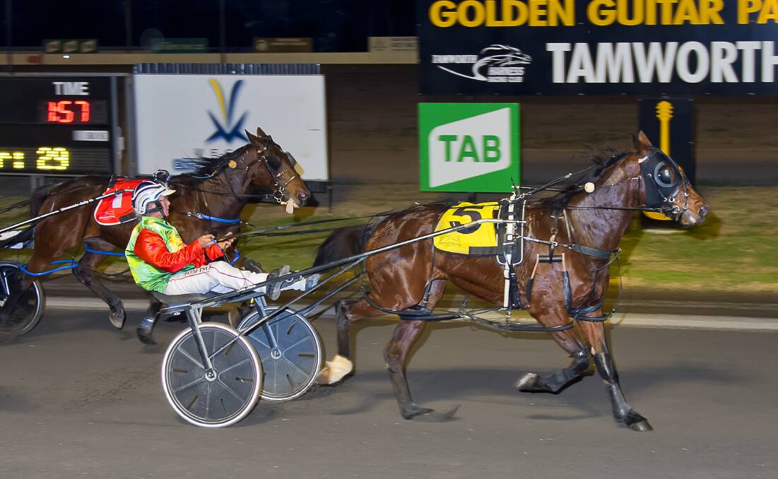 THE MISSION: Rockin In Chelsea will contest the Menangle final on Saturday night. Photo: PeterMac Photography
