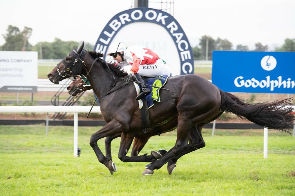 POWER OF TWO: The Bandit (Christian Reith) pips Blinkin Artie (Andrew Adkins) in the $100,000 Muswellbrook Gold Cup: Photo: Facebook