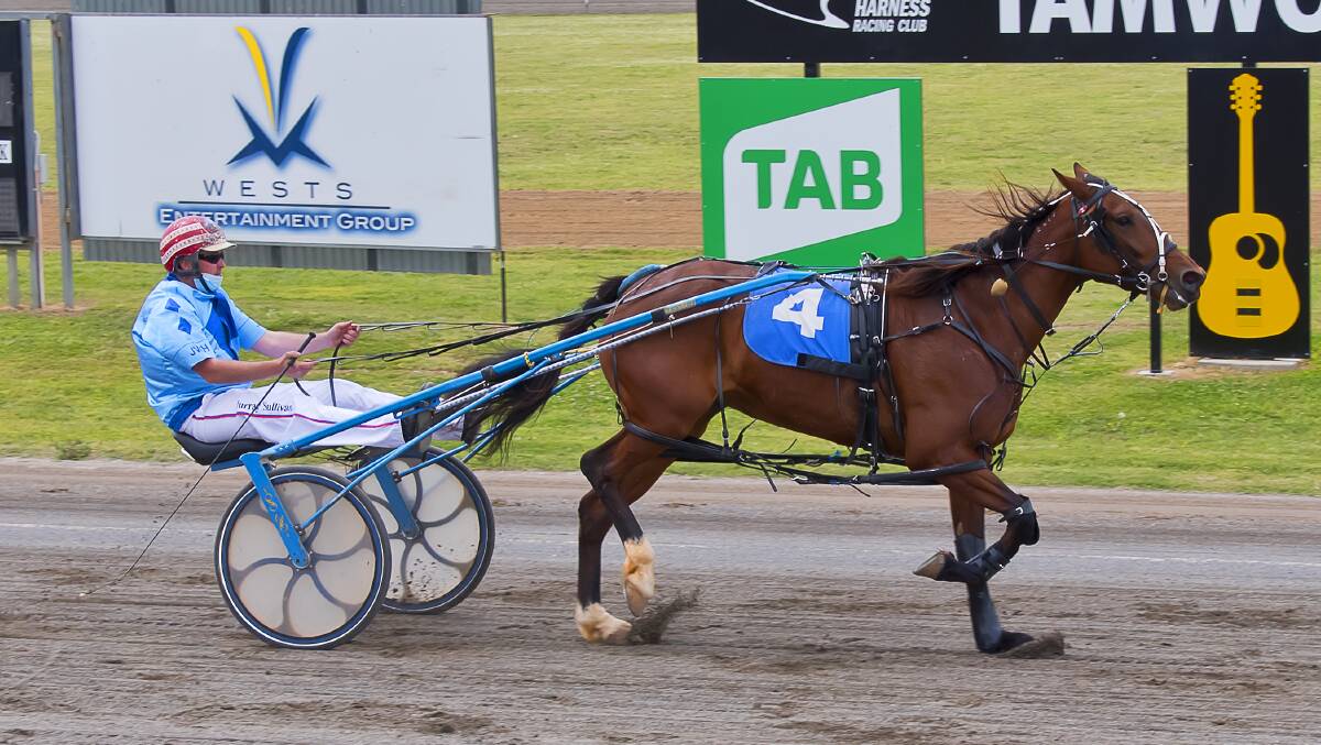 DOUBLE TROUBLE: Murray Sullivan and Miss Maravu triumph at Tamworth. Photo: PeterMac Photography
