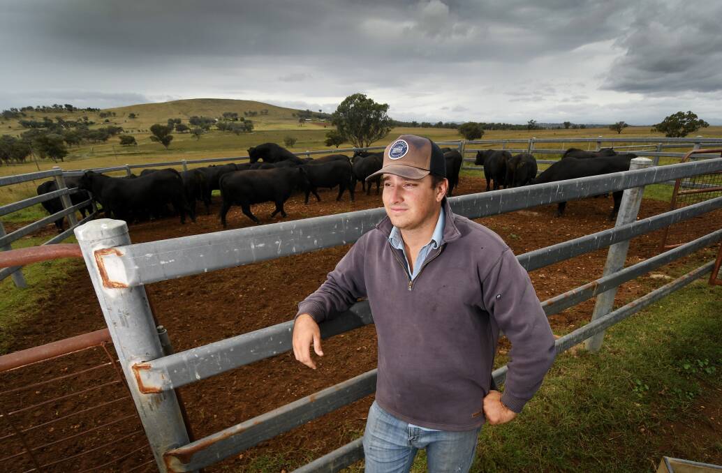 IN THE BLOOD: Jye Paterson "loves" managing his family's cattle property near Goonoo Goonoo Station. Photo: Gareth Gardner