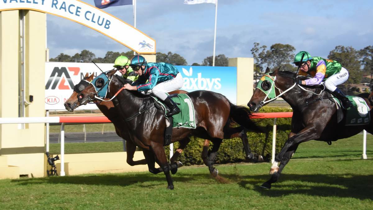 'HARD TO BEAT': Blinkin Artie wins at Taree last June. The four-year-old gelding will contest the Walcha Cup on Friday.