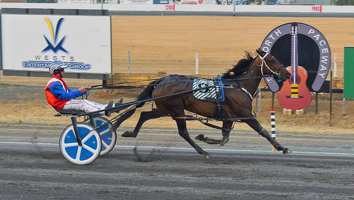 ON FIRE: Tom Ison wins at Tamworth behind his own pacer, Deanne Panya. Ison has had the best season of his short career. Photo: PeterMac Photography