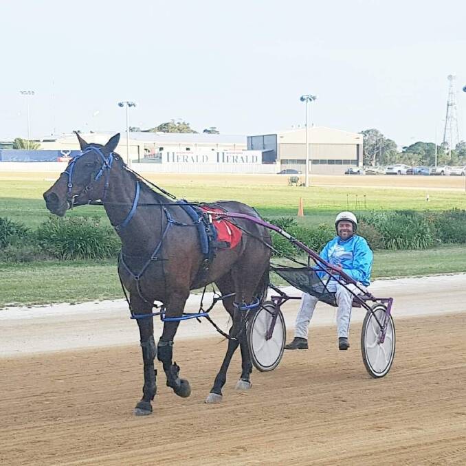 FEELING BETTER: Nemingha-based Pure Laughter, with owner Danny Mackney in the spider, overcome "anxiety" to win at Newcastle. Photo: Kathryn Bell.