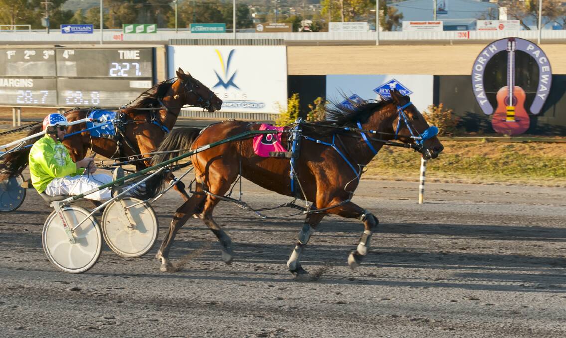 WELL PACED: Richard Williams pilots Bassey to victory in race seven at Tamworth last Thursday. Photo: PeterMac photography