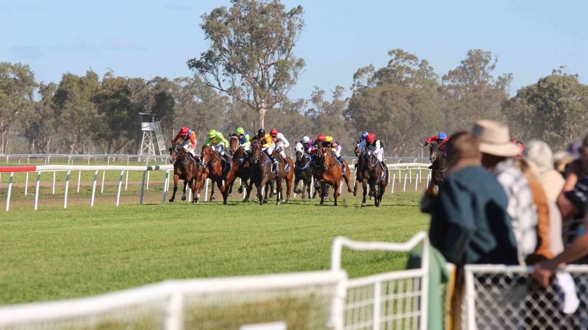 PARTY TIME: The $40,000 Gunnedah Gold Cup will headline an eight-race TAB Showcase meeting on Sunday. 