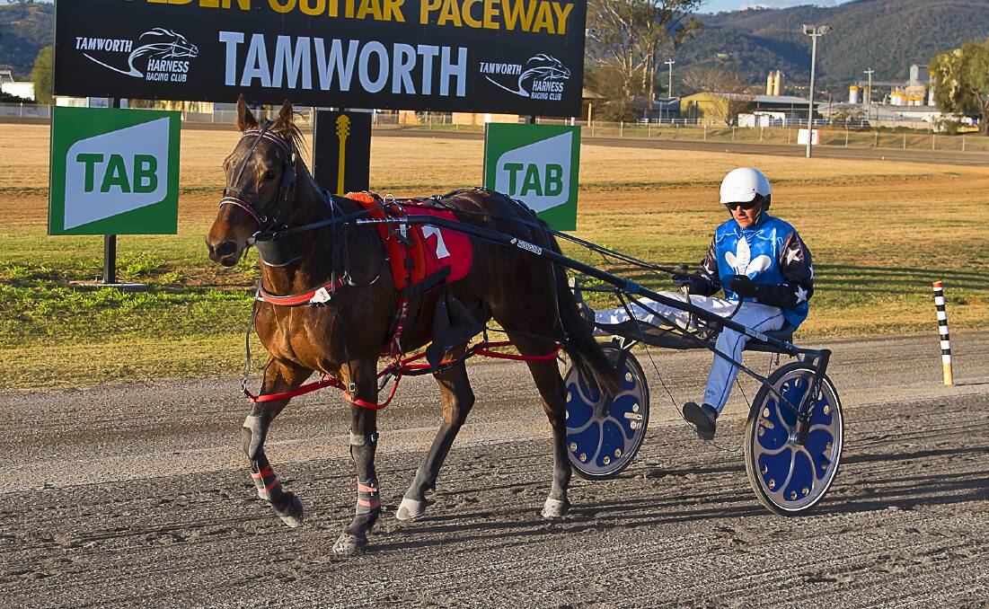 HIGH OCTANE: Anthony Varga has success behind I'm Quite American at Tamworth. Photo: PeterMac Photography