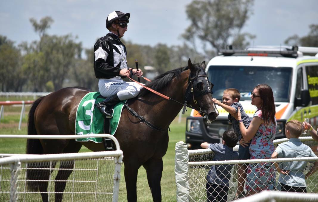 BIG DAY OUT: Golden Legacy is one of three Mark Mason-trained horses nominated for Sunday’s $20,000 Furneys Stockfeeds Tamworth Class 2 Handicap (1200m).