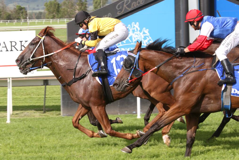 DYNAMIC DUO: Mikayla Weir steers Nothing Too Hard to victory in the Quirindi Cup at Scone on Friday. Photo: Bradley Photos