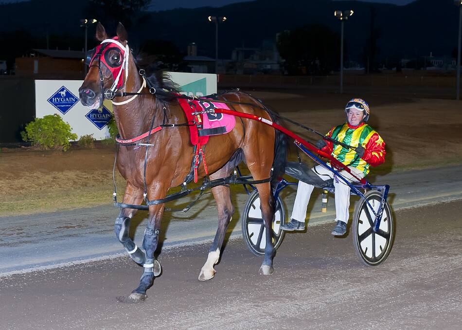HORSE POWER: Gottashopearly, with Brad Elder in the gig, after a recent win at Tamworth. Photo: PeterMac Photography
