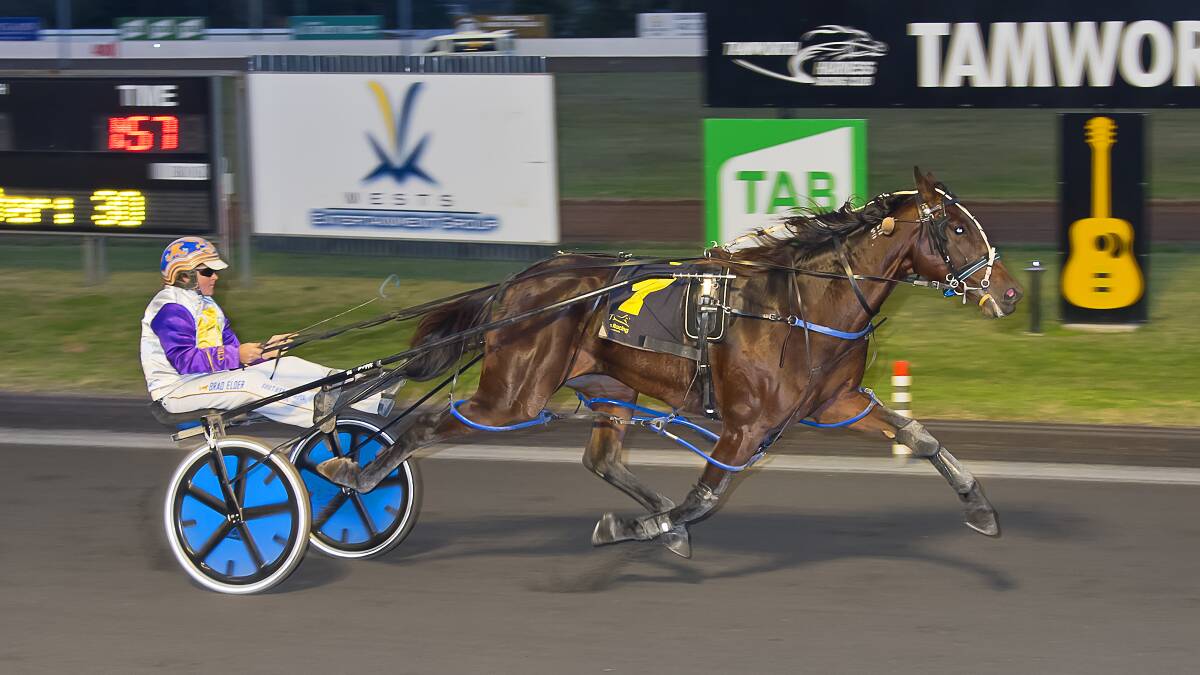 METRE-EATER: Somethingaboutlexy cruises to victory at Tamworth on Wednesday. It was one of four winning drives for Brad Elder on the program. Photo: PeterMac Photography 