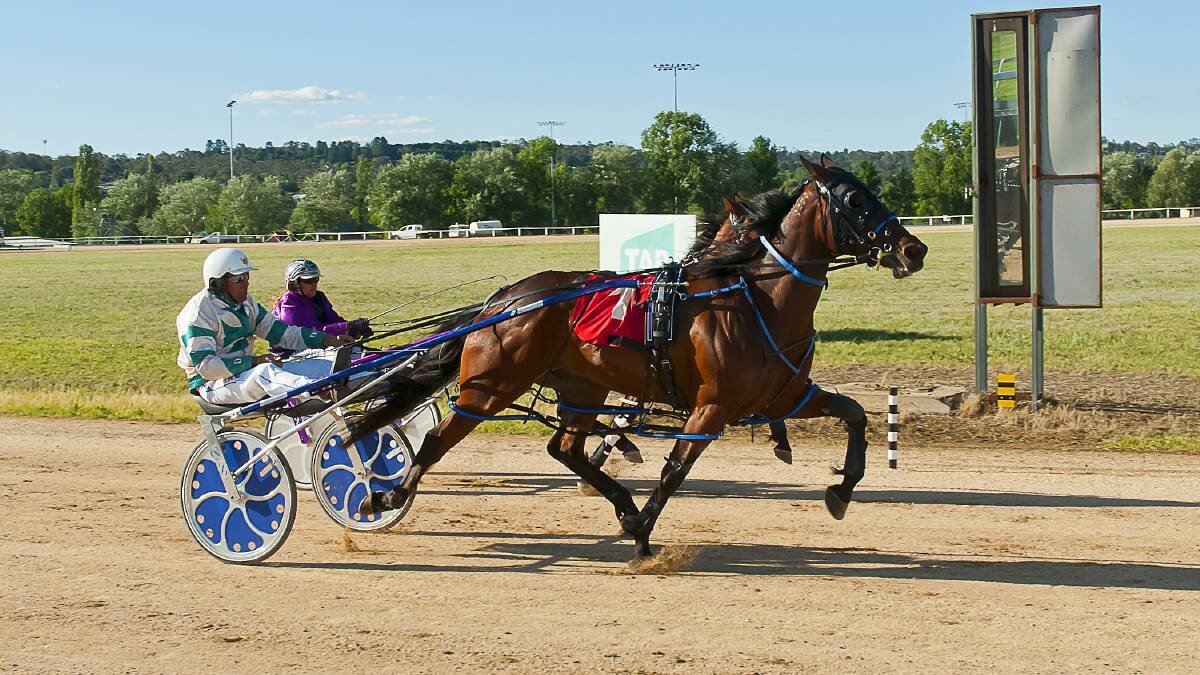 EDGED: Ykikafil, with Dayl Marsh in the gig, takes the win over Christian Shannon (Sarah Rushbrook) at Armidale. Photo: PeterMac Photography