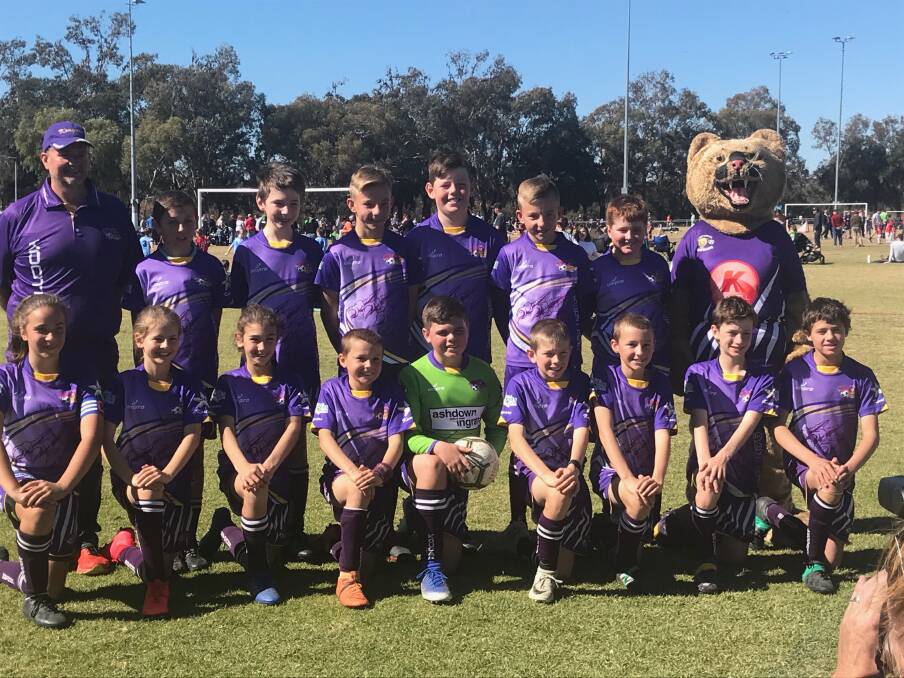 RED HOT: The Kougars' under-12 boys side, who were undefeated in 2019. Photo: Supplied
