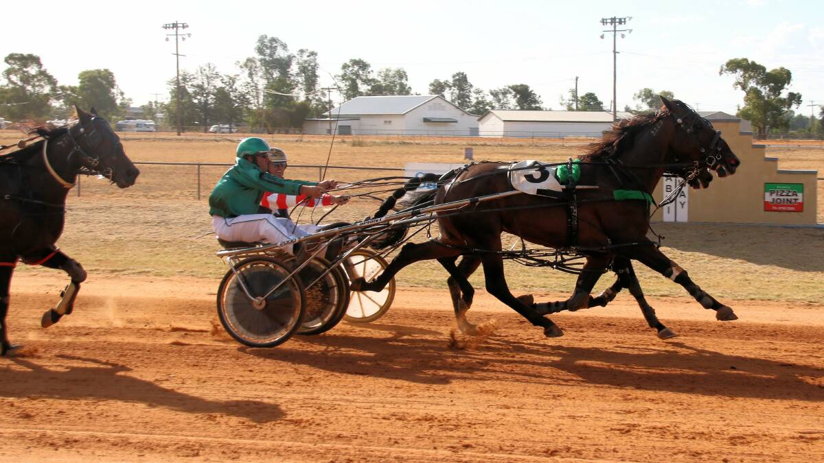 IN FORM: Quincy Storm, with Paul Grima in the spider, edges Mini Masterpiece at Narrabri last start. Photo: Coffee Photography