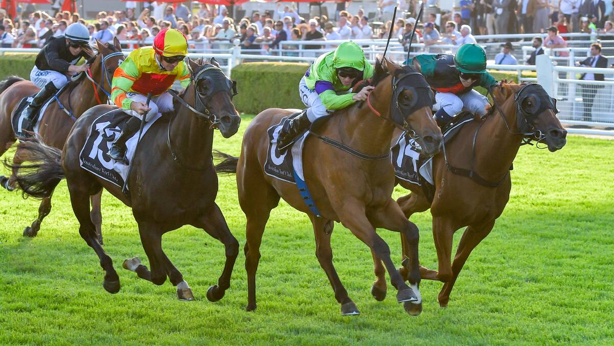 Tim Clark rides Suncraze (centre) to victory in the Mostyn Copper Group Handicap at Randwick Racecourse on February 17. Photo: AAP Image