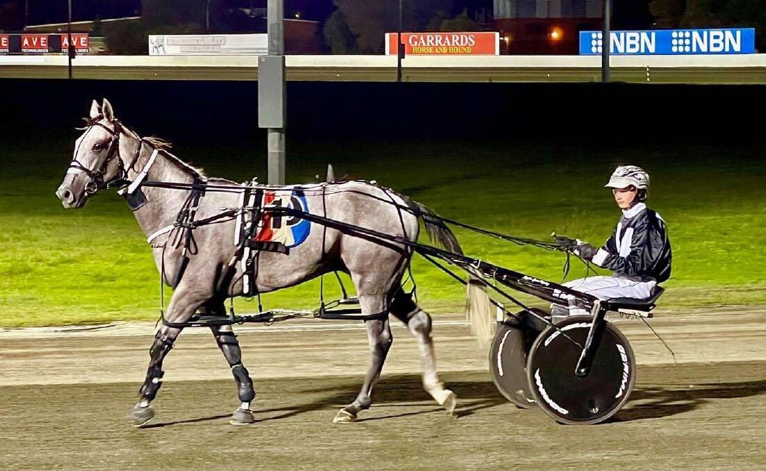 THE CHALLENGE: The Richard Williams-trained All Whitey Then will be in action at Newcastle on Friday night. Photo: Supplied
