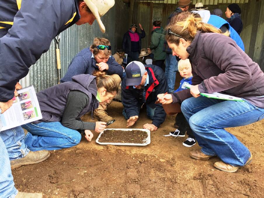 DIRTY WORK: Enthusiastic participants in a previous Kings Plains soil search workshop get down to dirt level with presenters.