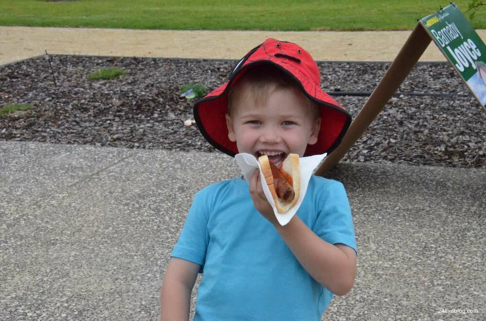 HERE FOR THE SNAGS: Parker Green might not be able to vote, but he enjoyed a democracy sausage at Tamworth High School. Photo: Rachel Baxter