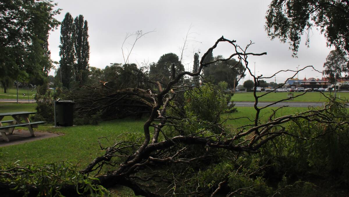 Armidale weather: Armidale SES crews called out after wild ...
