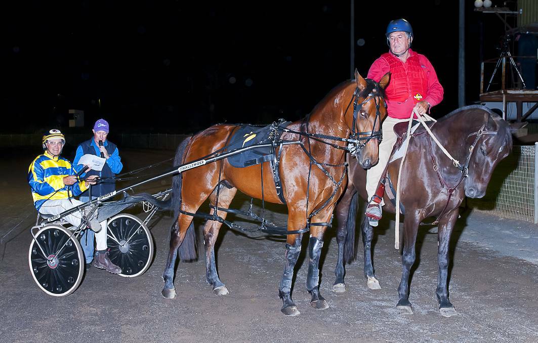 Happy pacer: Shadow Dealer at Tamworth earlier this year. Photo: PeterMac Photography.