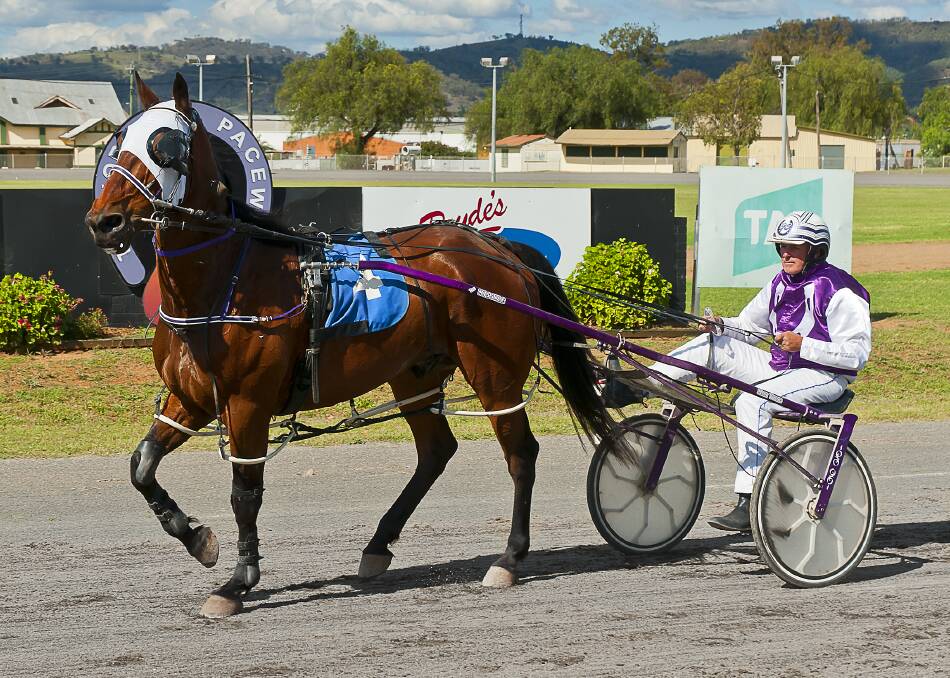 Success: Colonel Joy and Greg Coney enjoy their recent Tamworth win. Photo: PeterMac Photography.