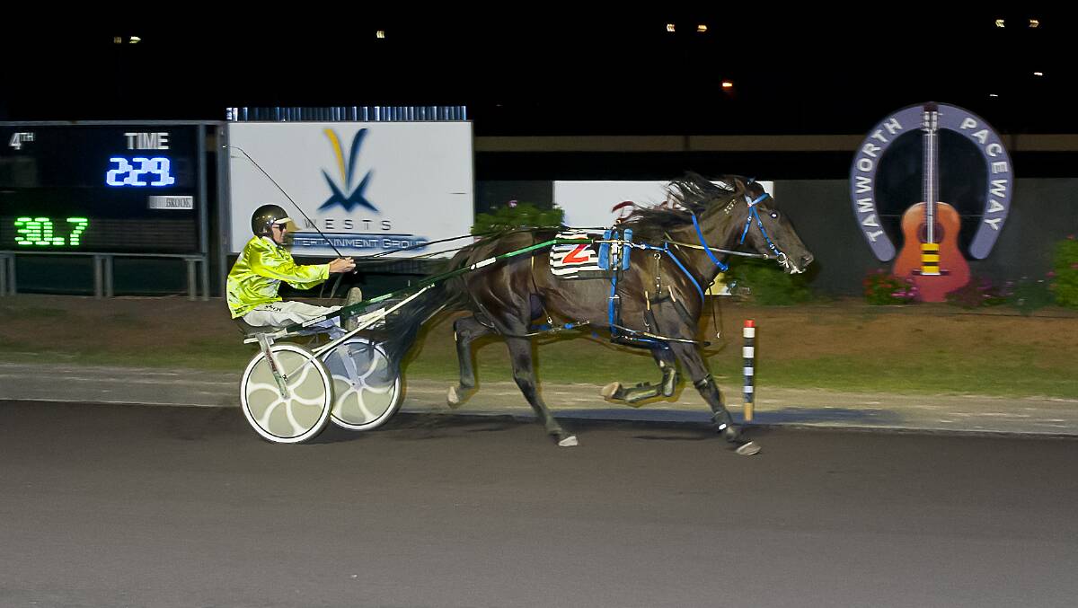 IN FORM: Pirates Pearl will contest the Garrard’s Horse and Hound Pace in Dubbo on Friday night.