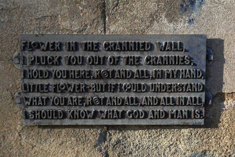 Crannied well: Inscription at the Poet Laureate Alfred Tennyson Memorial at Lincoln Cathedral, Lincoln, UK.