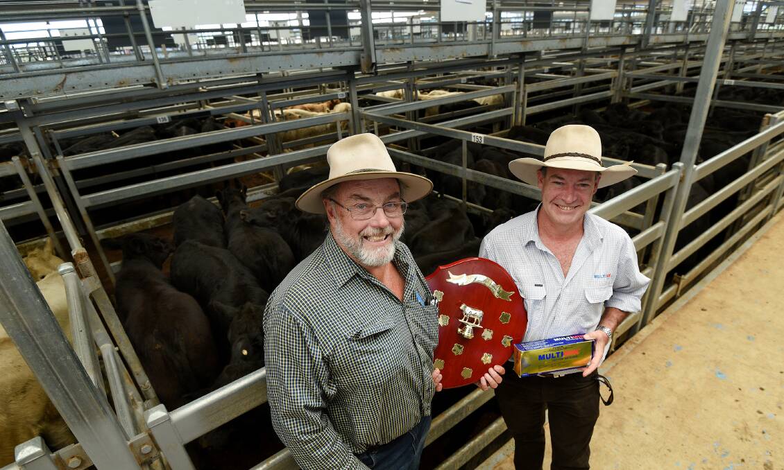 SURPRISE WIN: Tony Haling, “Hillside Park”, wins the 2017 Virbac Weaner Challenge with his family’s heifers at Tamworth Regional Livestock Exchange. He's pictured with agent Andrew Mulligan. Photo: Gareth Gardner 070417GGE04