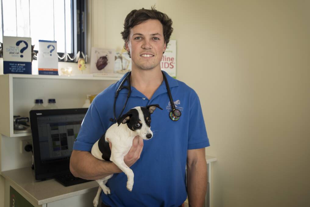 PREVENTION: Tamworth veterinarian Isaac Roebuck, pictured with Banjo at Piper Street Veterinary Clinic, says preventing the deadly Parvovirus disease is easily done through vaccination. Photo: Peter Hardin