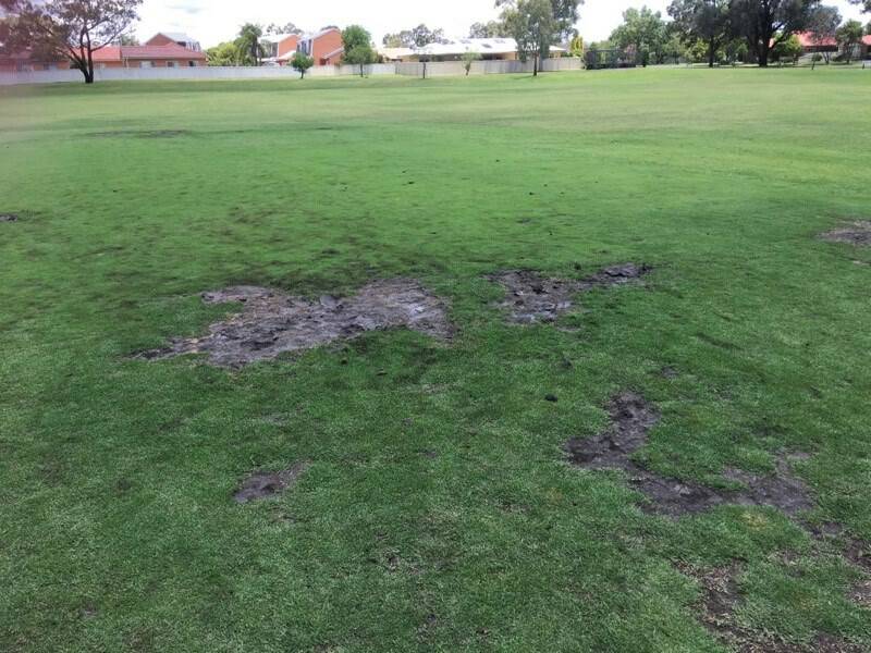 NOT ON: Damage at Chaffey Park will see the ground closed for the remainder of the year. Photo: Tamworth Regional Council